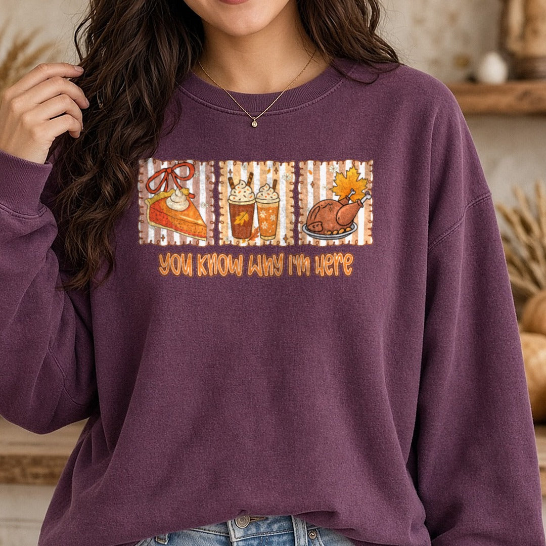 You Know Why I'm Here Pie Latte Turkey Panels DTF transfer shown on a Comfort Colors sweatshirt