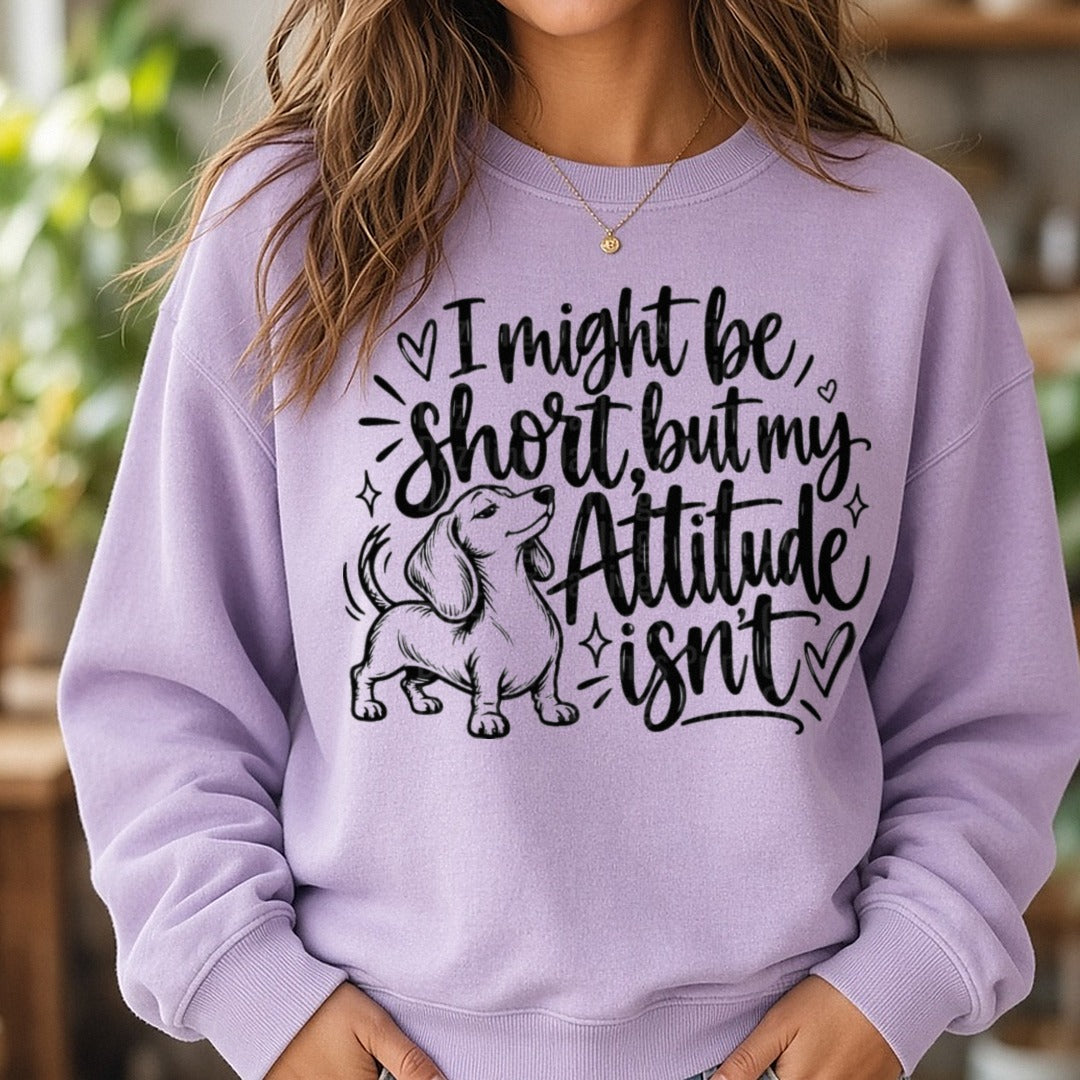 Dachshund I Might Be Short But My Attitude Isn't DTF transfer shown on a Comfort Colors sweatshirt