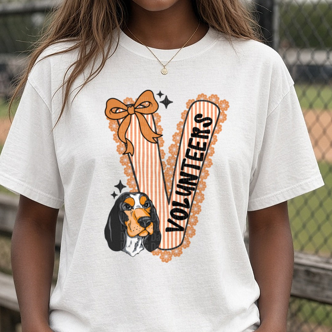 Seersucker volunteers DTF transfer shown on a Comfort Colors tee