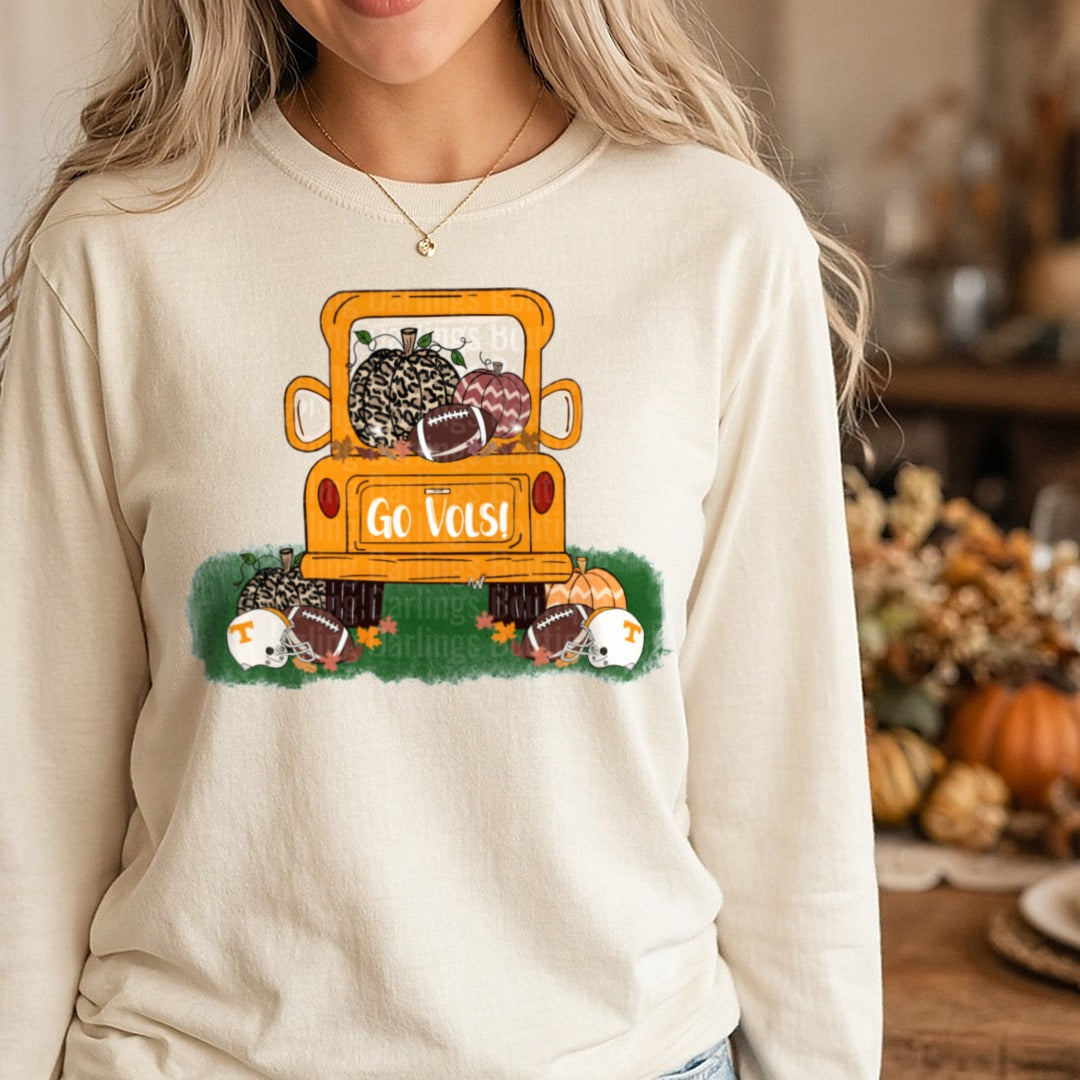 Img 5899 DTF transfer shown on a Comfort Colors long sleeve tee