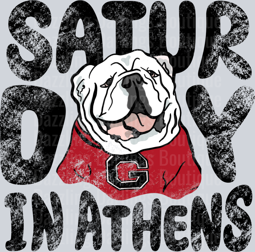 SATURDAY IN ATHENS GEORGIA BULLDOGS