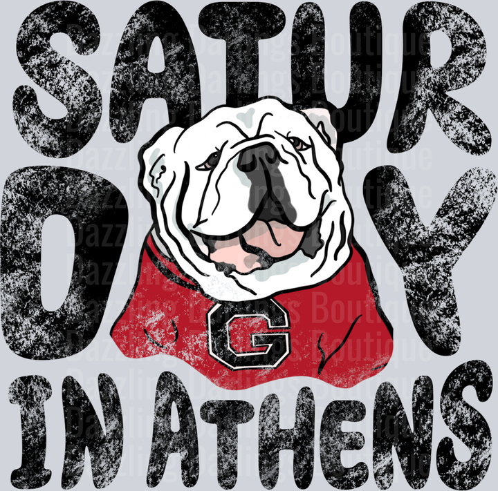SATURDAY IN ATHENS GEORGIA BULLDOGS