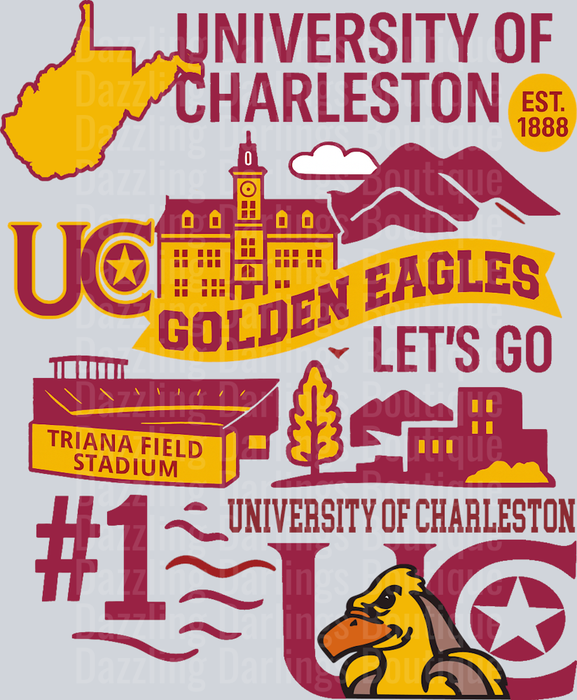 UNIVERESITY OF CHARLESTON