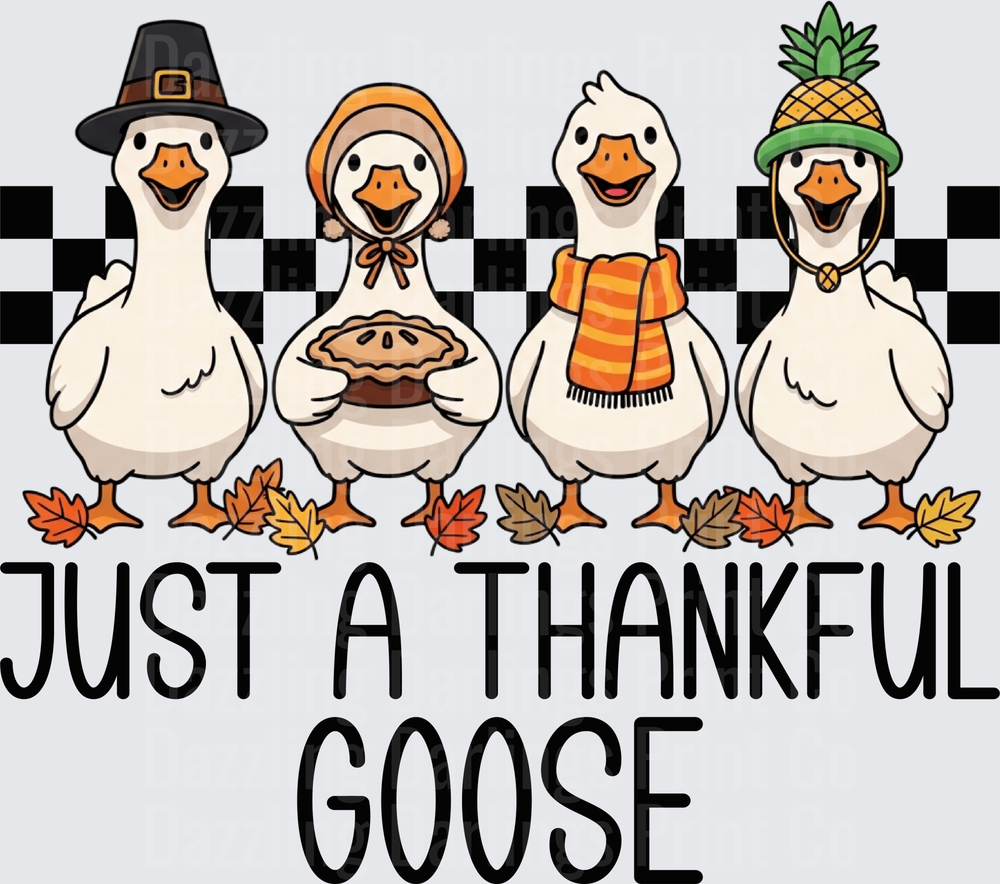 Just A thankful Goose