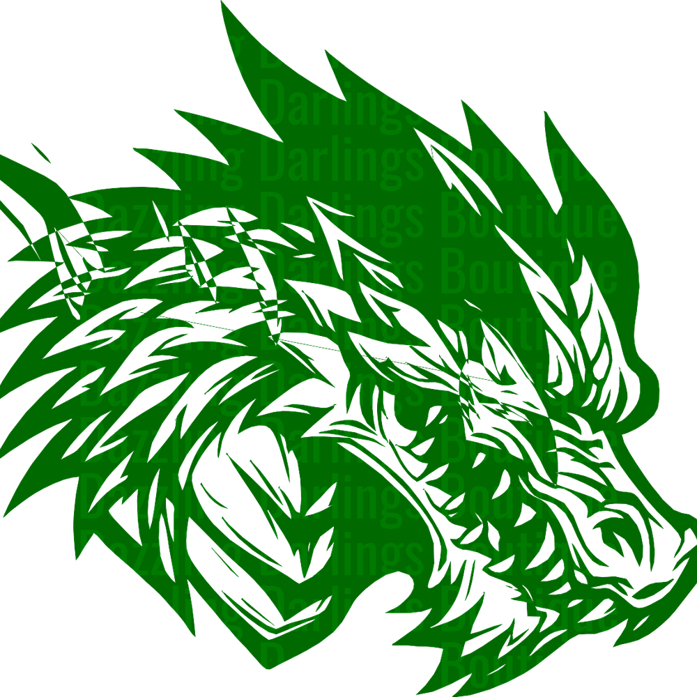 TRACK AND FIELD PICKENS DRAGONS