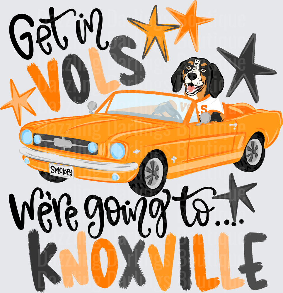 Get In Vols We're Going To Knoxville Smokey Dog Orange Mustang