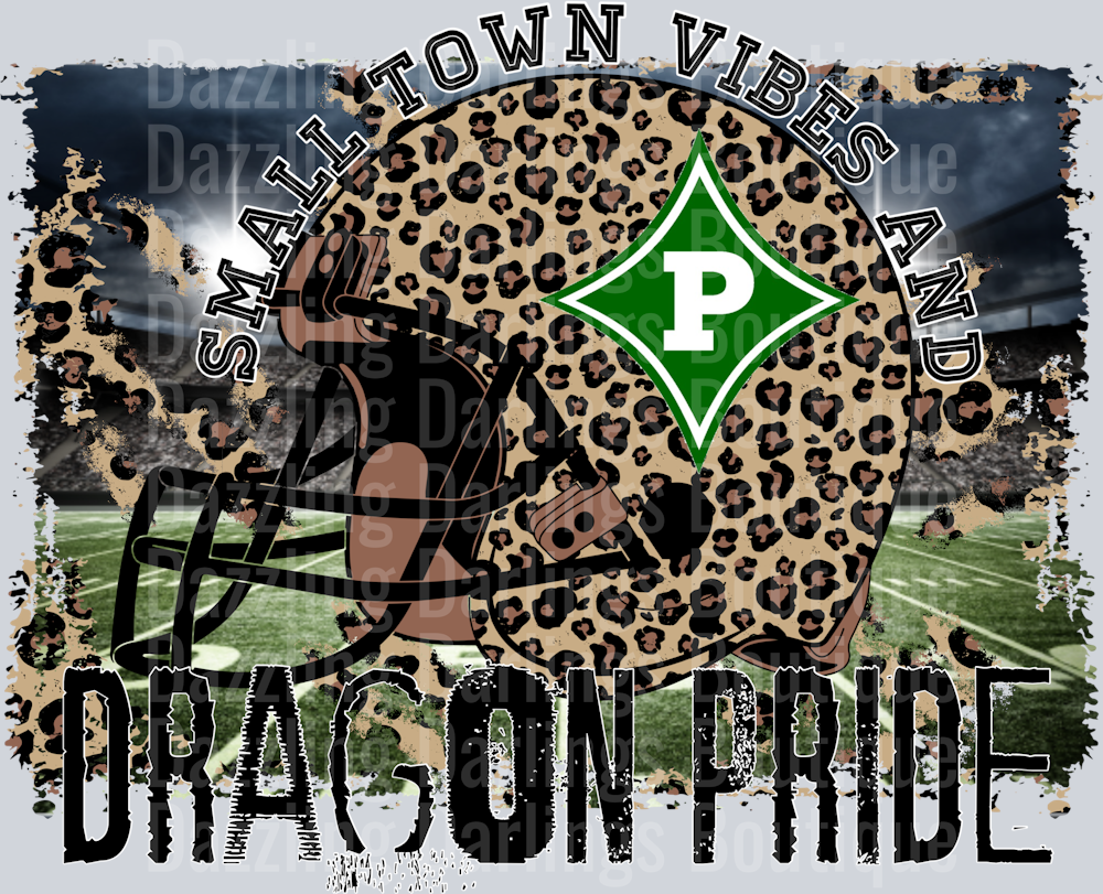 PICKENS DRAGONS DTF TRANSFER SMALL TOWN DRAGON PRIDE