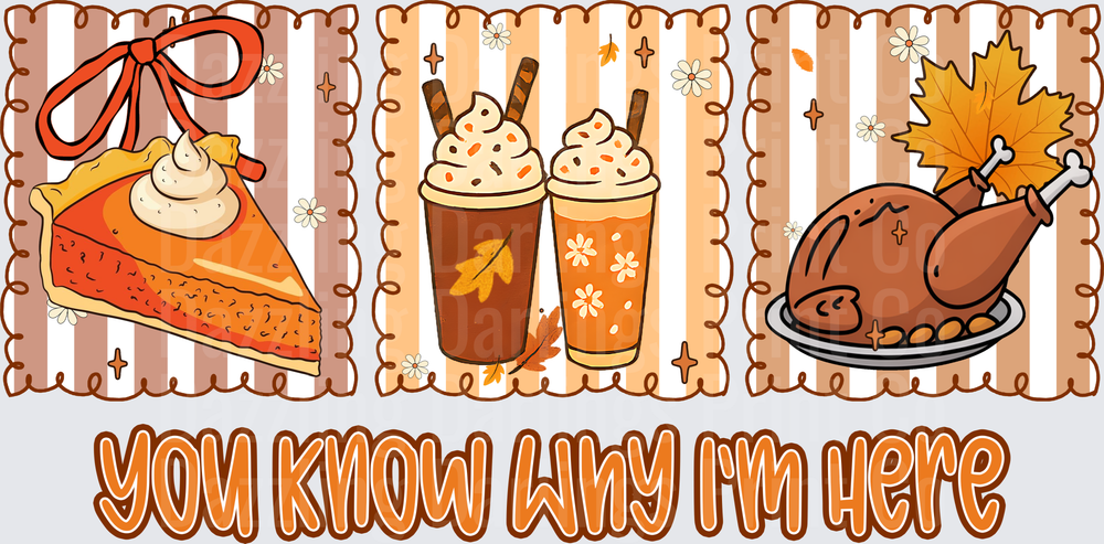 You Know Why I'm Here Pie Latte Turkey Panels